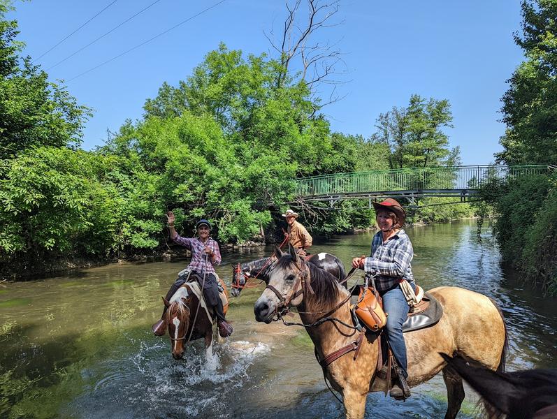 Cavaliers dans l'eau