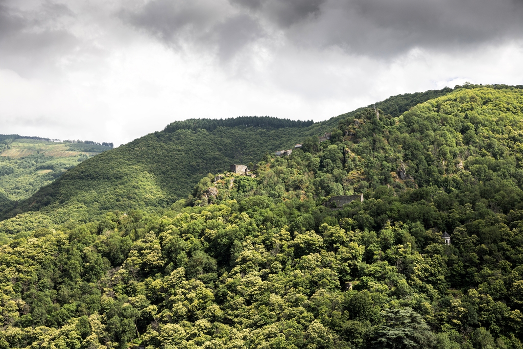 TRIPINWILD_08