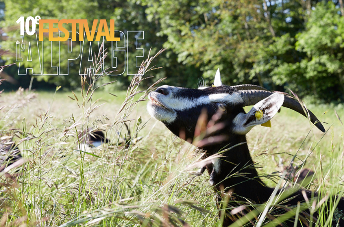 Festival de l'Alpage : Visite de la ferme de Coste Joffre