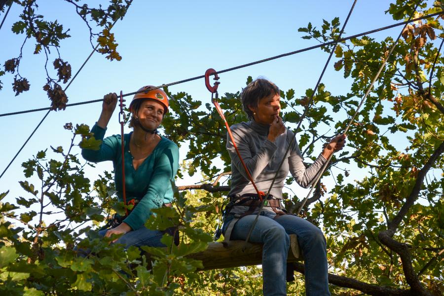 Parcours dans les arbres avec Joncas Aventure