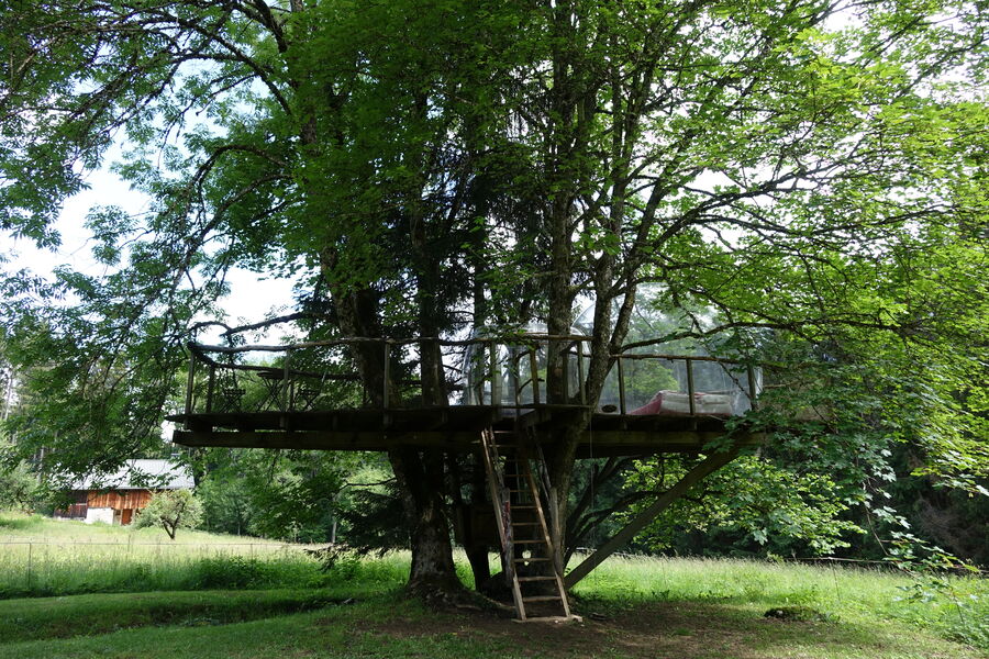 La bulle dans les arbres