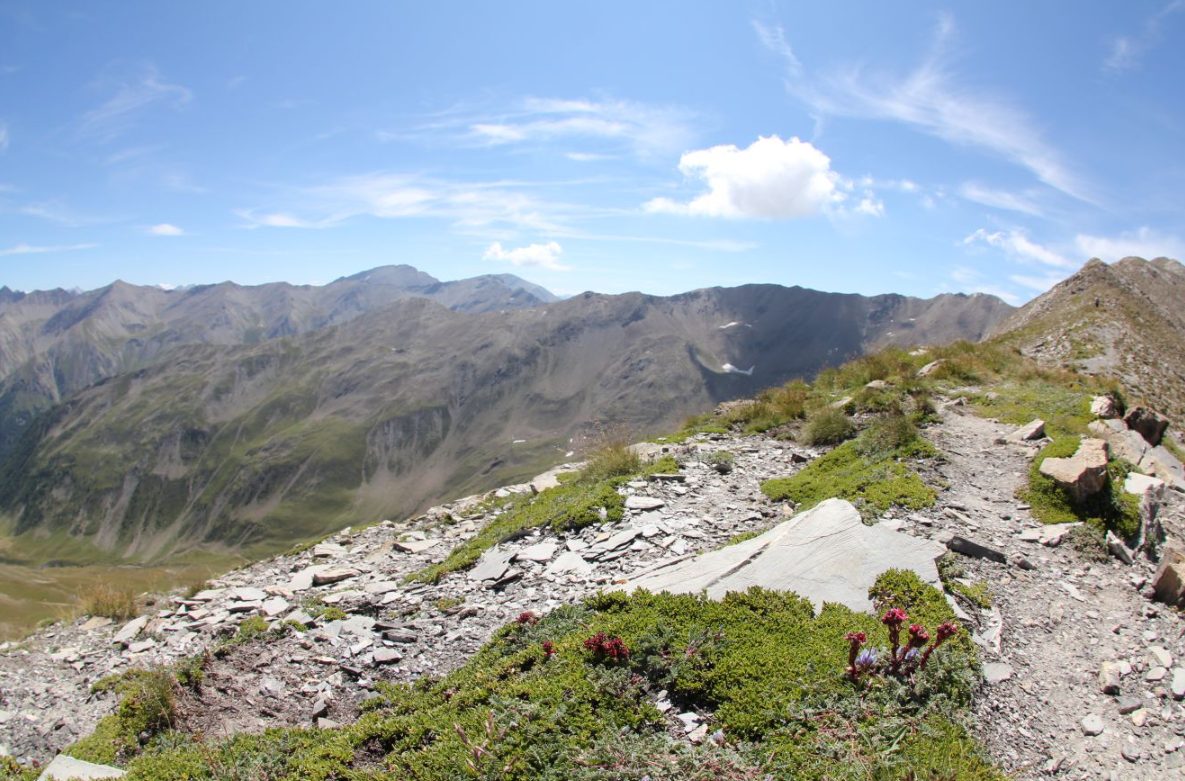 Skyrace Les Orres_Les Orres