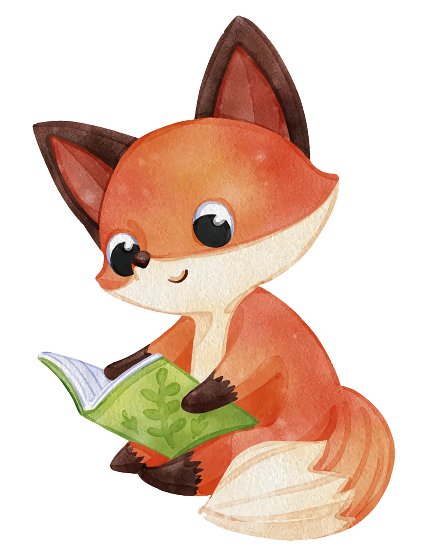 Visuel renard malle aux histoiresRVB