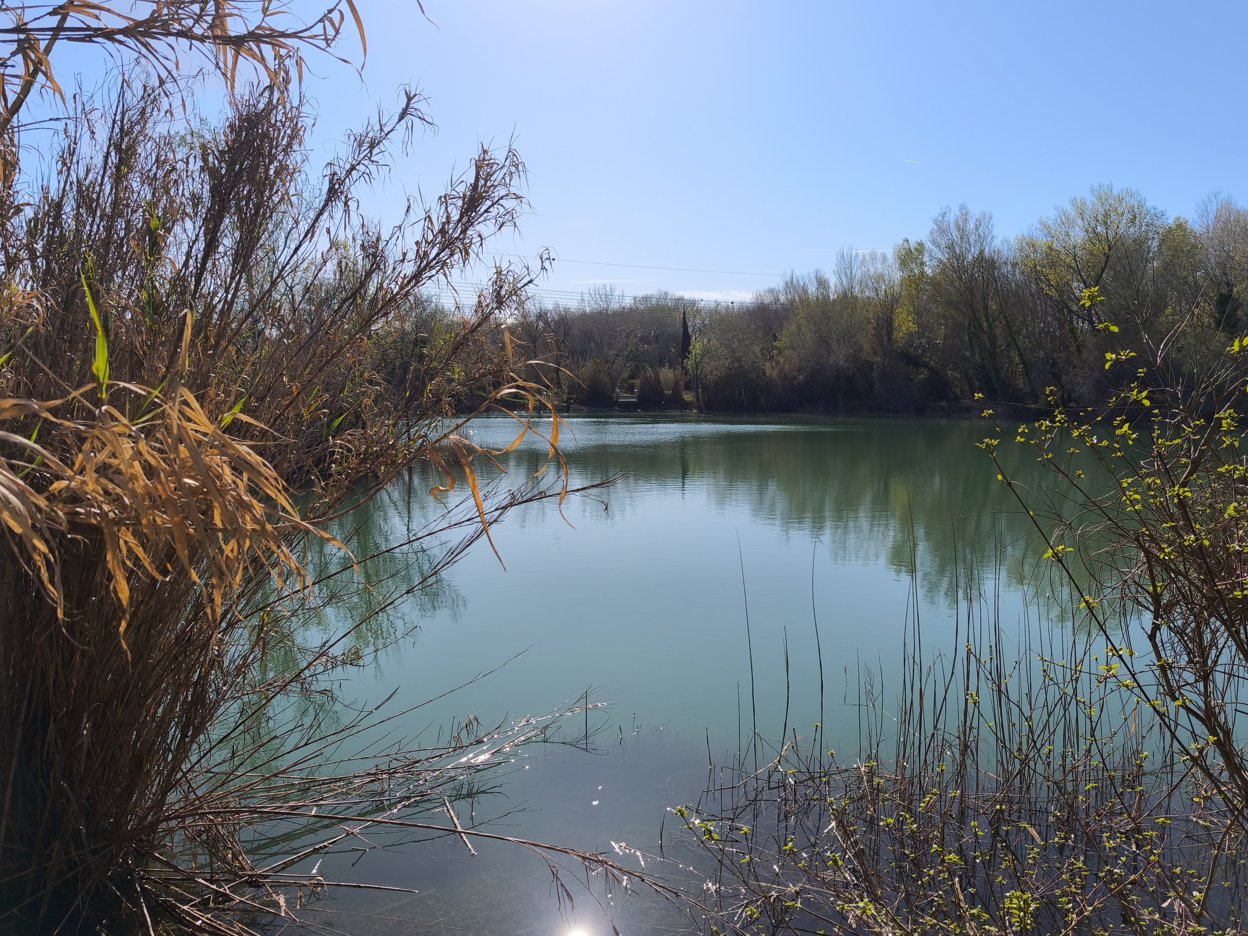 Aire de pique-nique du lac des Iscles