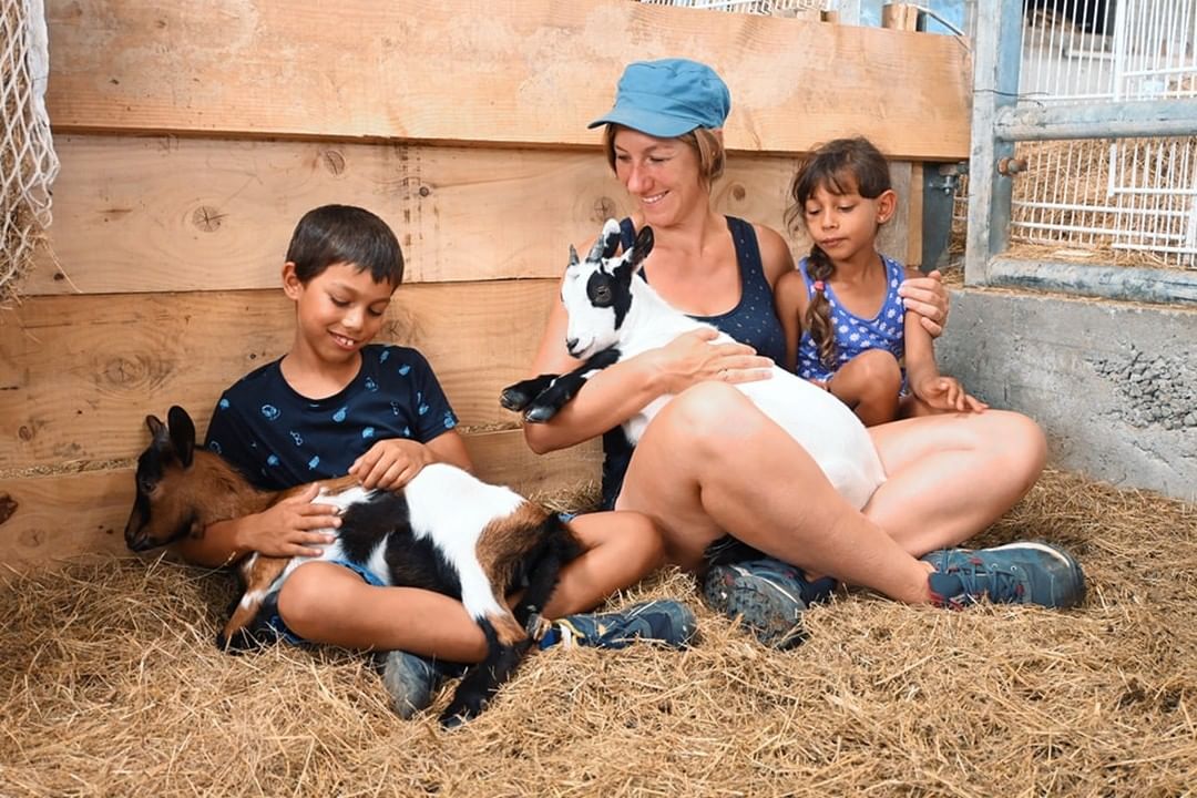Ferme du champ rouge