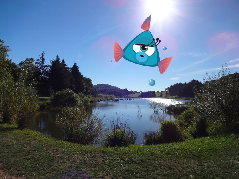 Lac du Ronzey