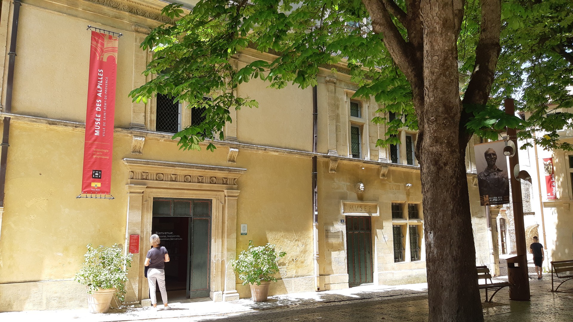 Vacances d'été au Musée des Alpilles