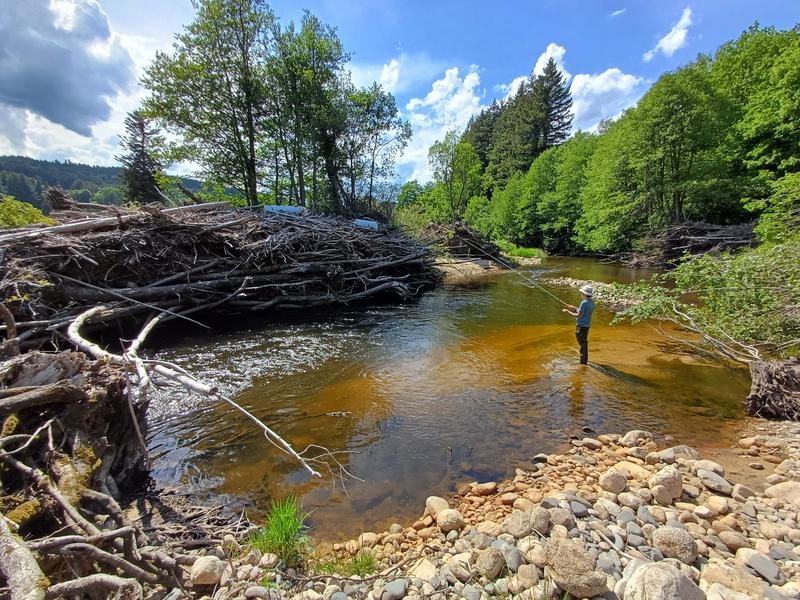 Moniteur guide de pêche D.E / Albert Vallet_Dunières