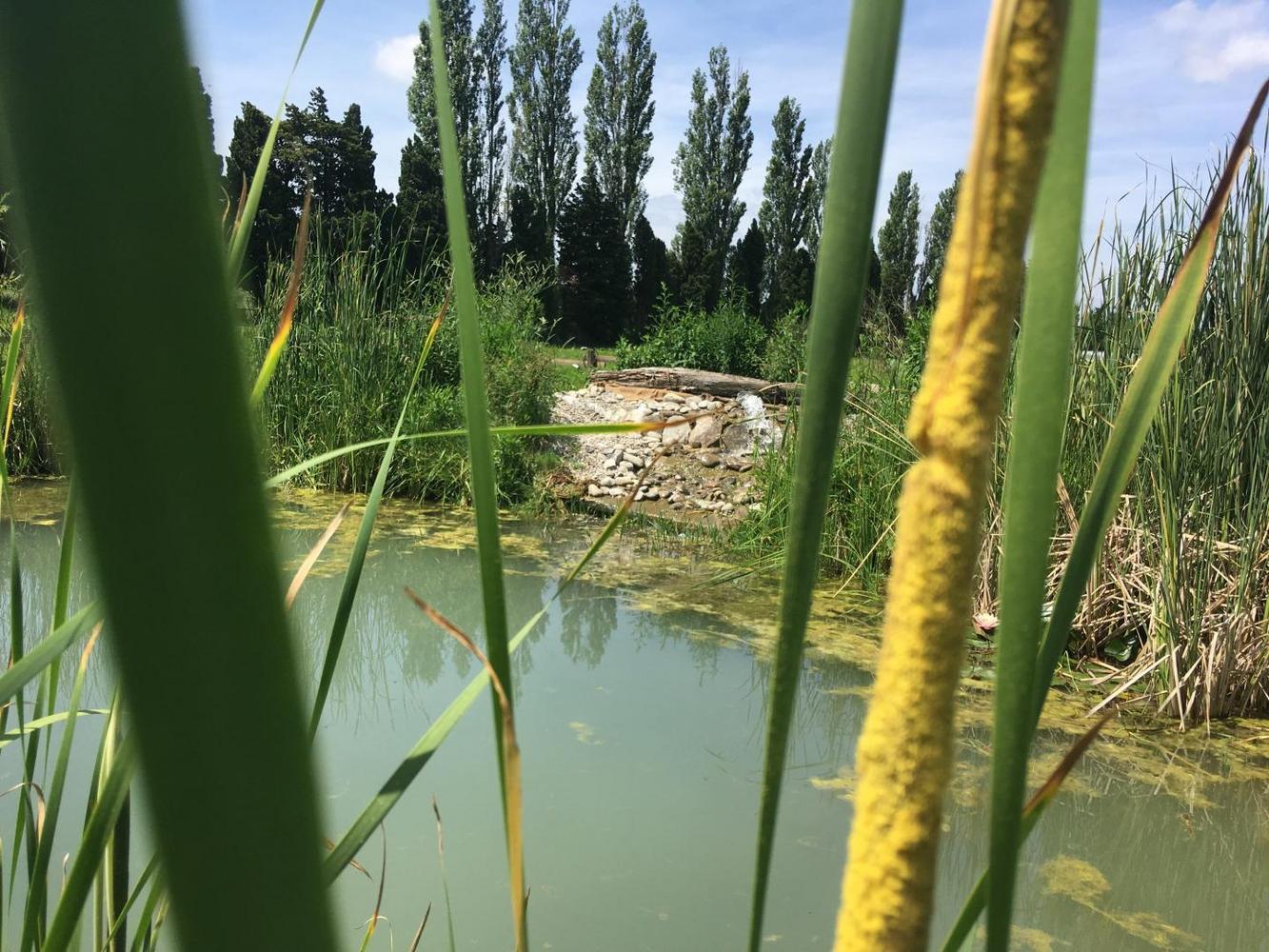 Mas de Rey, Rognonas - photo 7