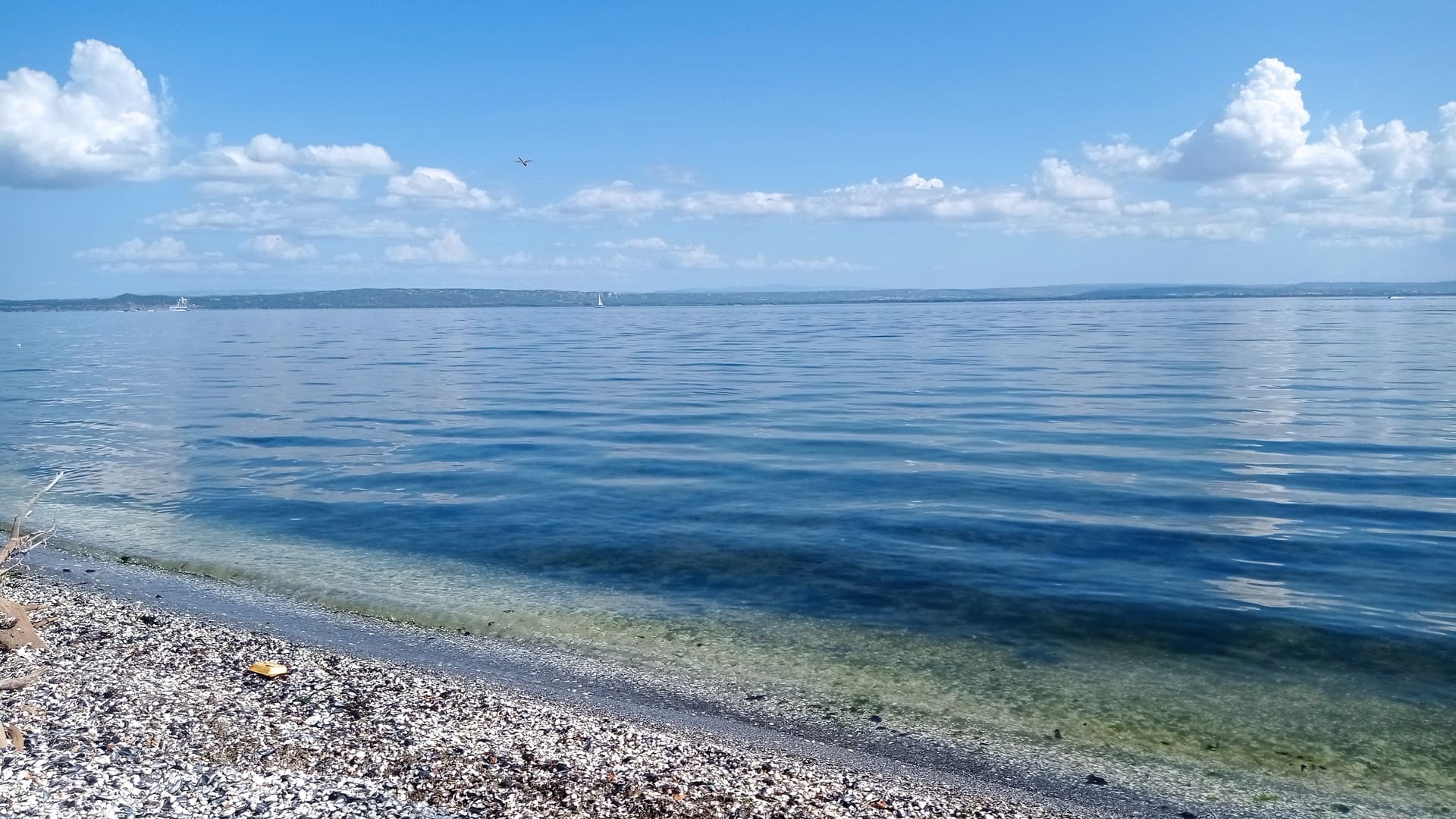 Sentier entre mer et étangs - photo 5