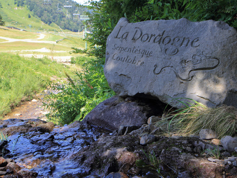 Source de la Dordogne