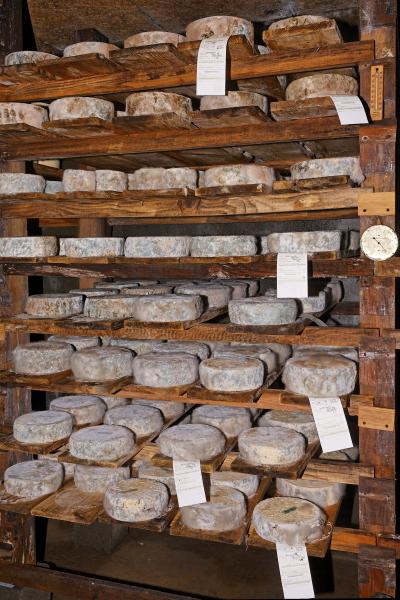 La Ferme de l'Abérieux : la boutique_Cordon