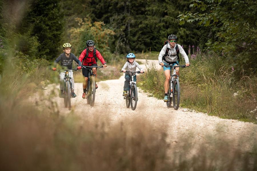 Piste verte VTC L'Olette_Le Revard