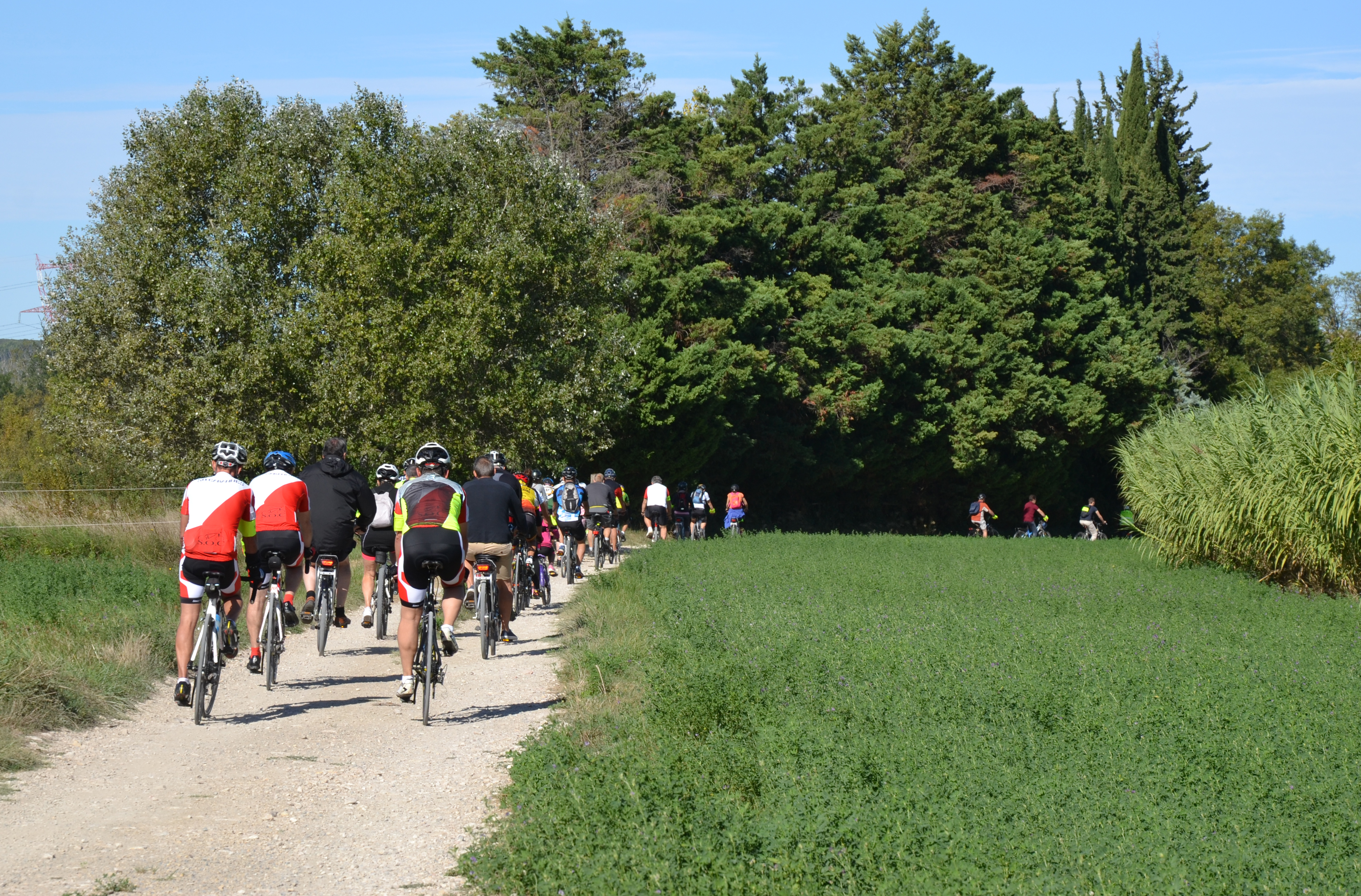 Au coeur de la Montagnette