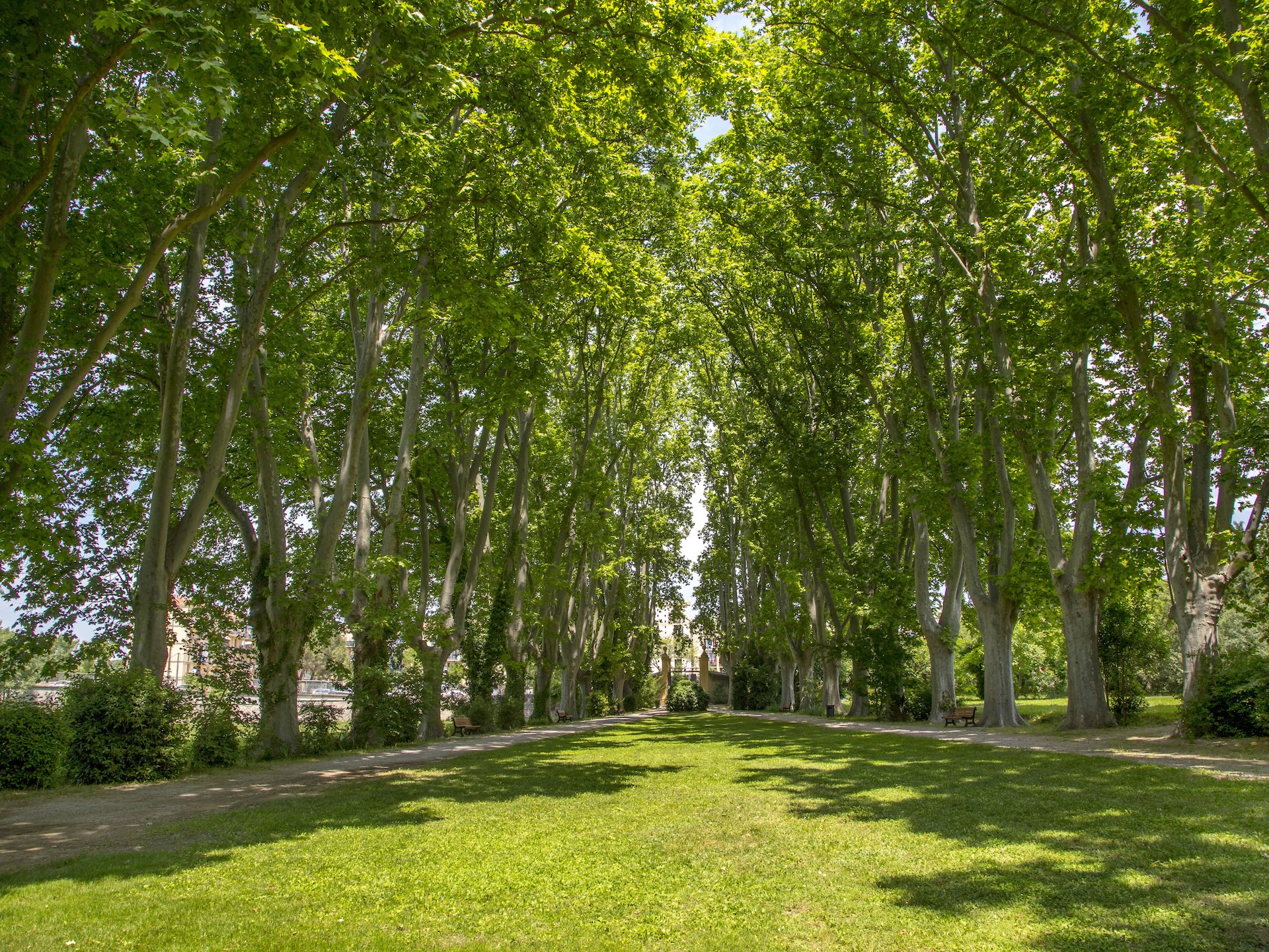 Bastide du Jas de Bouffan - photo 3