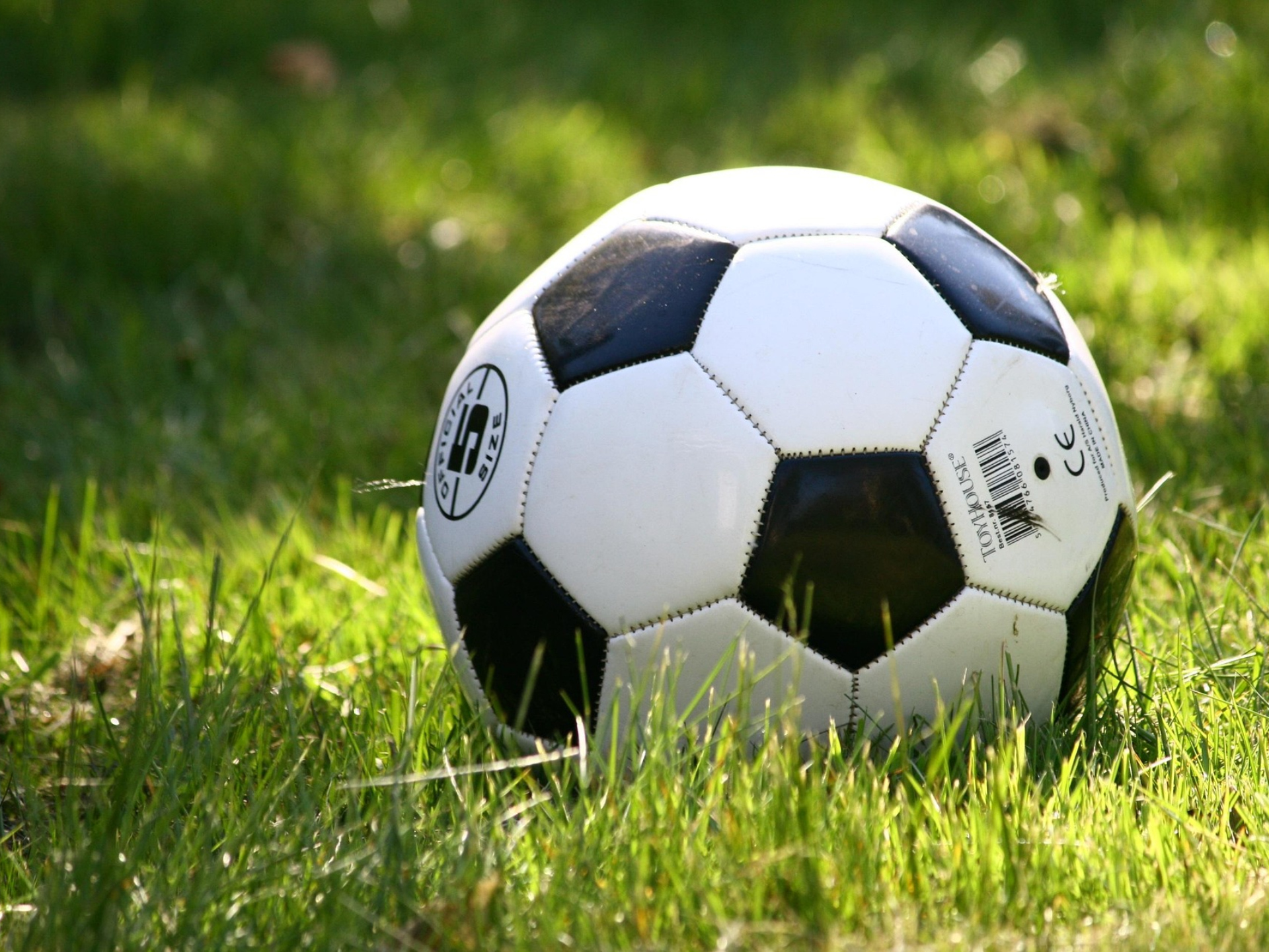 Terrain multisports et parcours de bosses
