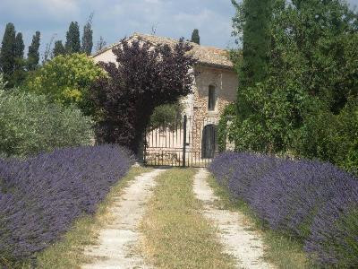 Le Mas Piquet, Plan-d'Orgon - photo 25