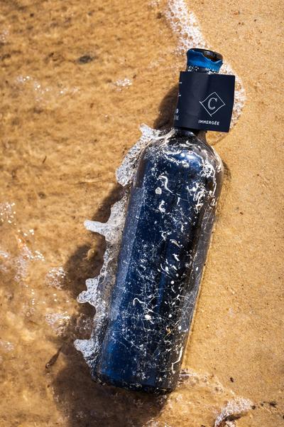 Domaine de la Courtade immergée