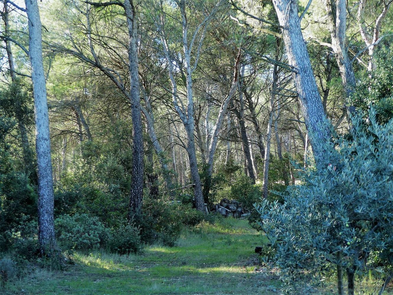 Les Cadenières - photo 4