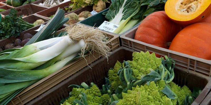 Barbaux Horticulture