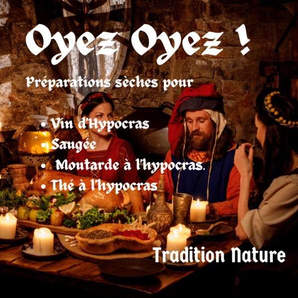 Hypocras sachets pour vin d'Hypocras