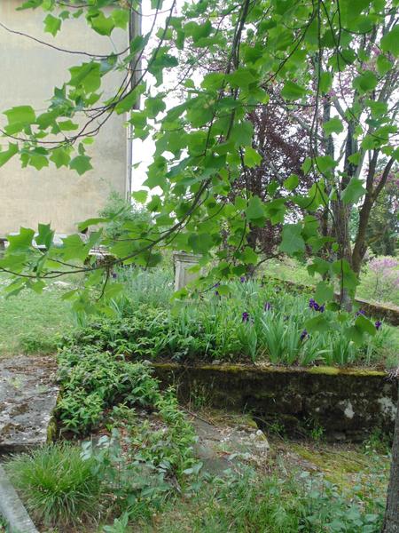 Le Clos Dauphin à La Balme les Grottes - Balcons du Dauphiné - Isère