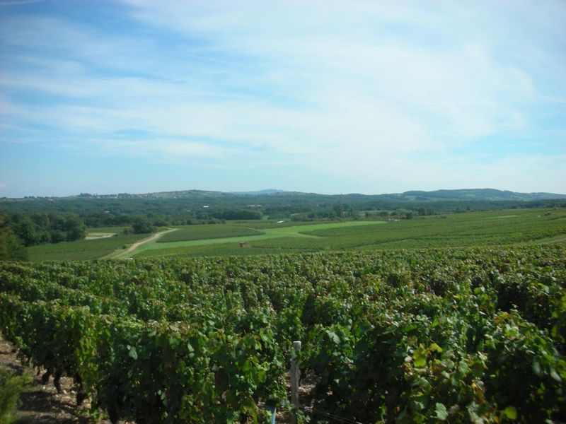 Domaine_Rivière