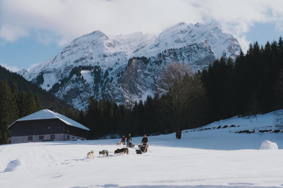 Initiation à la conduite d'attelage_Bellevaux