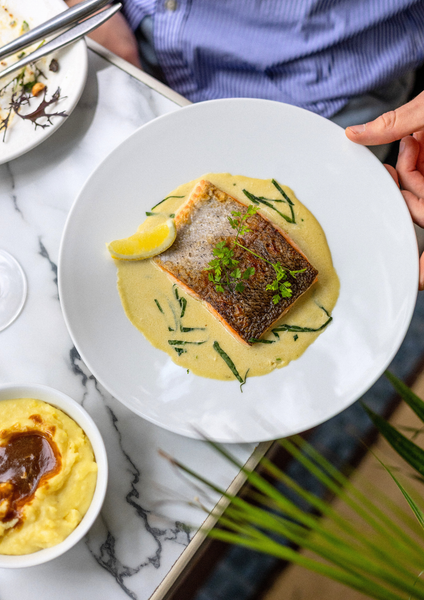 Une truite à l'oseille dans une assiette.