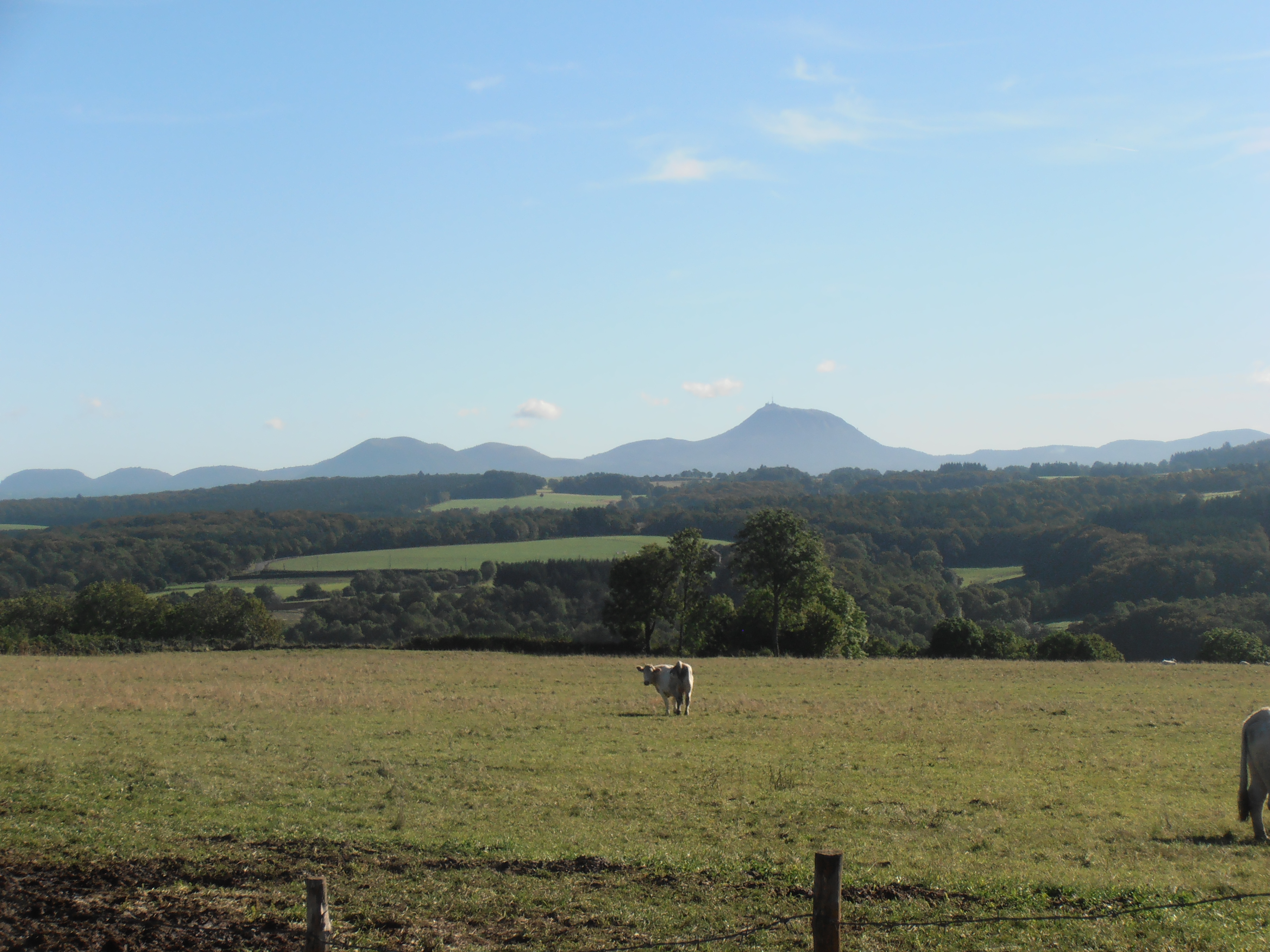 Vue sur la Chaîne des Puys - faille de Limagne depuis le puy de Faux