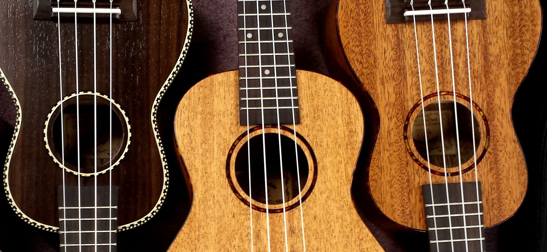 Photo of 3 ukuleles