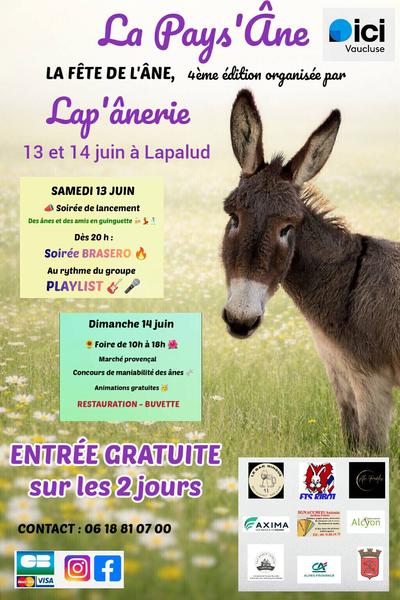 La Pays&rsquo;Ane : 4ème fête aux ânes - Lapalud