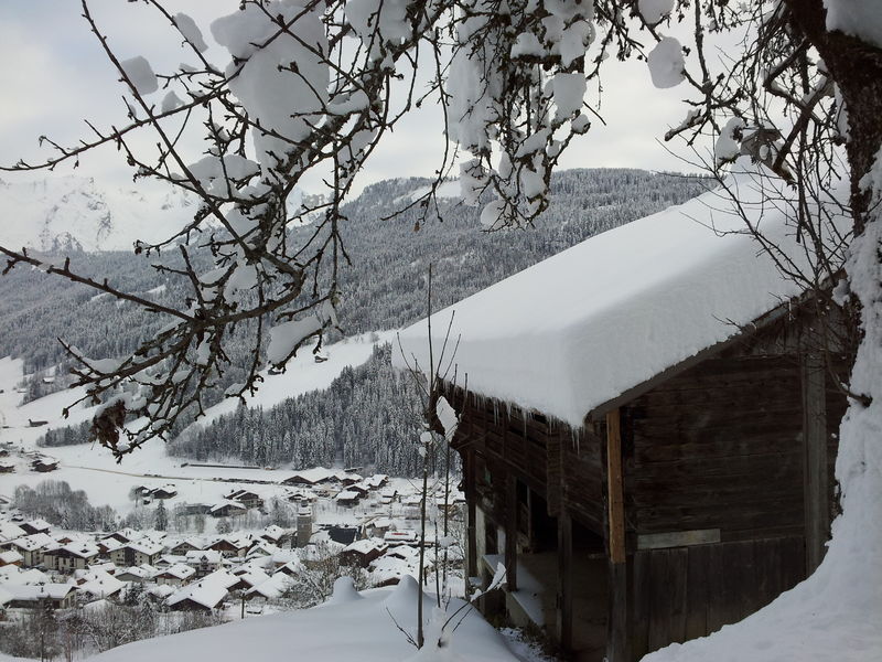 Sentiers raquettes au Grand-Bornand 27
