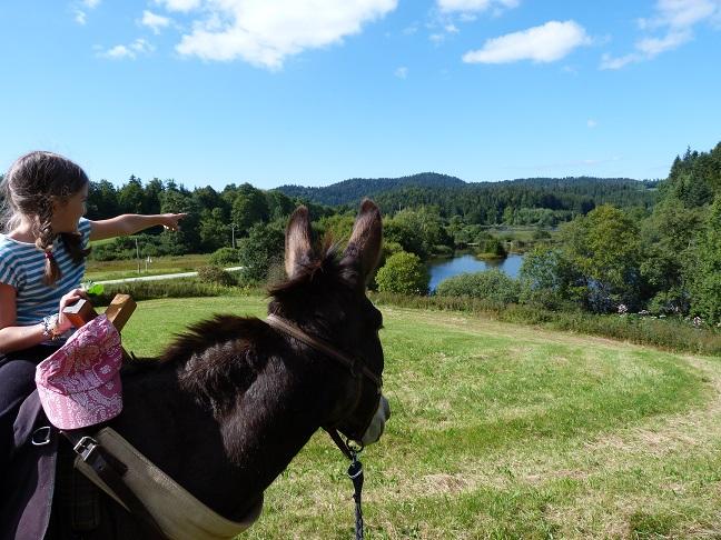 Balade avec âne bâté