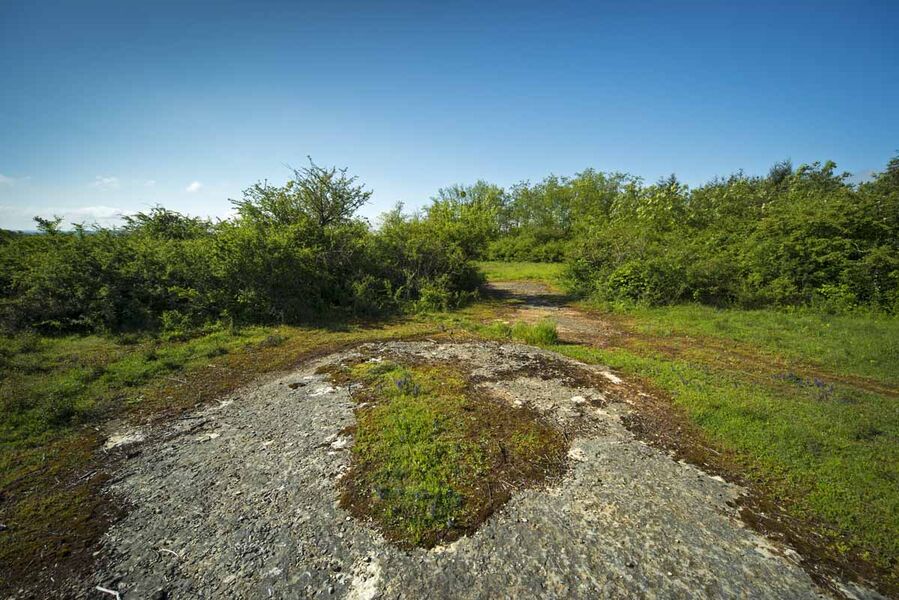 Espace Naturel Sensible des Communaux de Trept