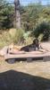 Passion Dog 04_Castellane