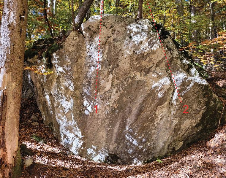 Blocs d'escalade du Plateau d'Assy_Passy