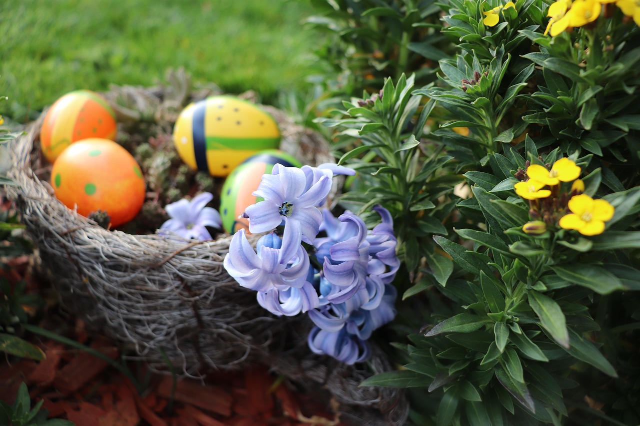 Chasse aux oeufs