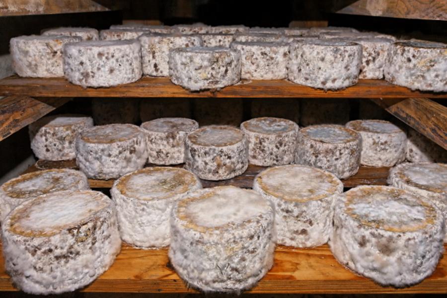 La Ferme de l'Abérieux : la boutique_Cordon