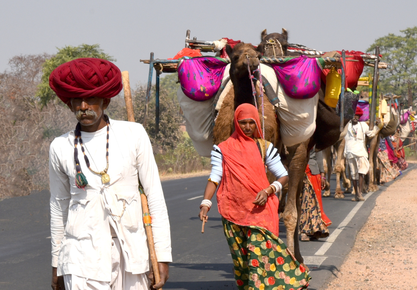 Exposition : "Des racines de l'Inde" de Annie Sorrel, Régis David et SyBaux