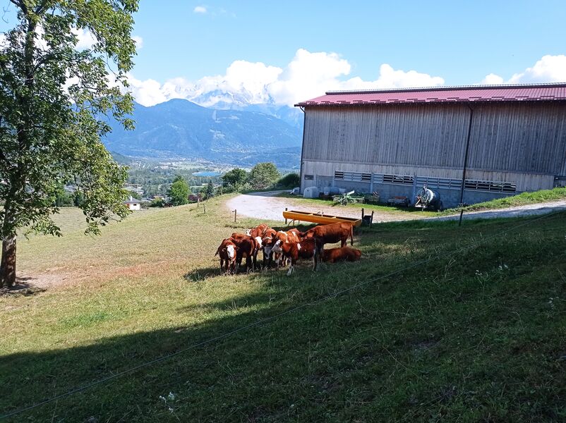 sentier pédestre : balade au Bois de Fessy