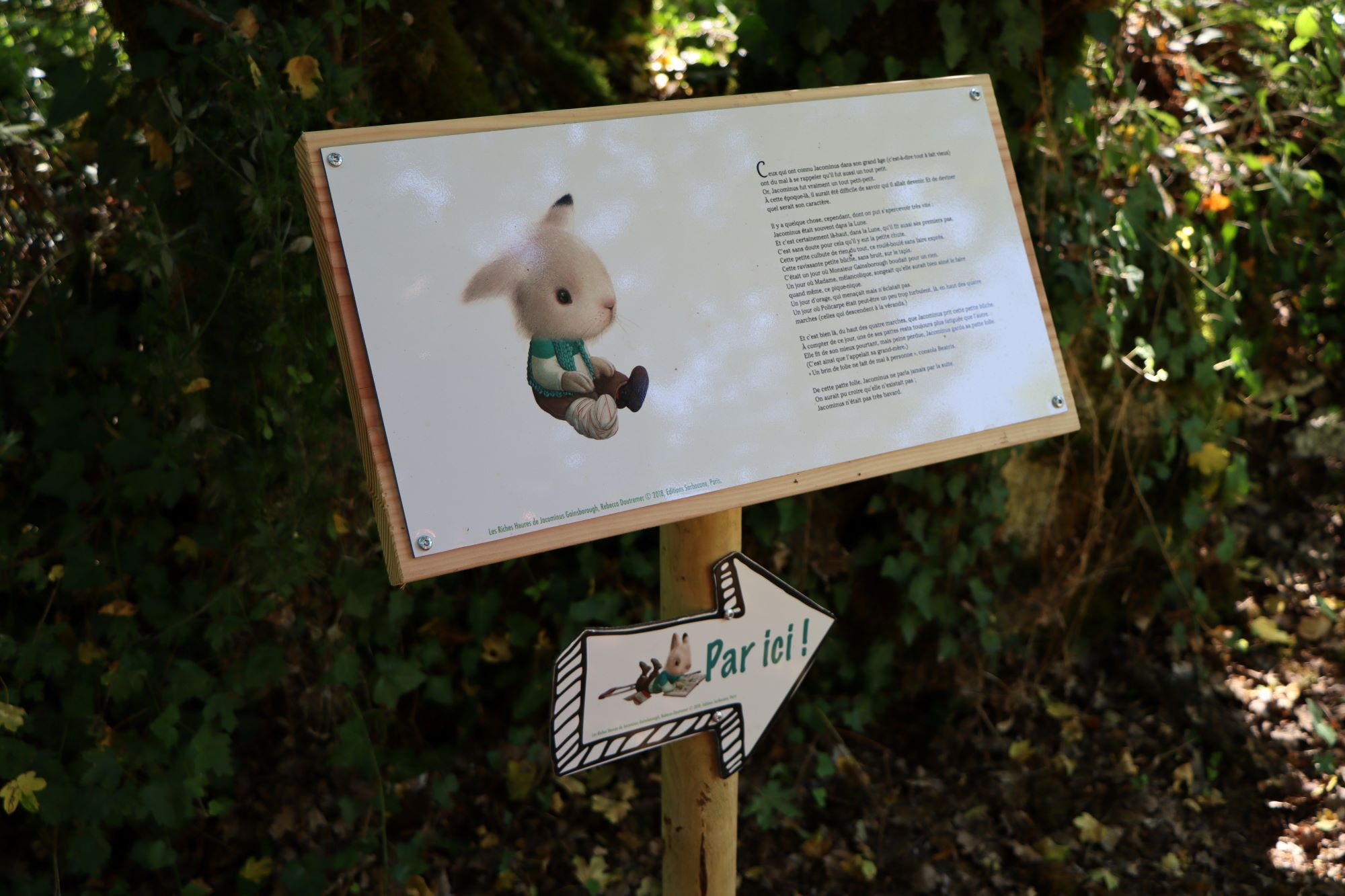 Exposition : Jacominus Gainsborough de Rebecca Dautremer s’installe en résidence dans la cité de Quirieu