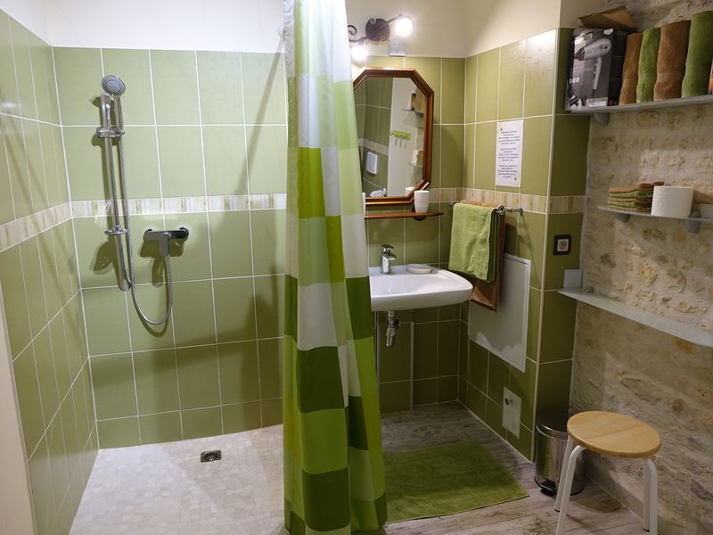 Green Venice bathroom