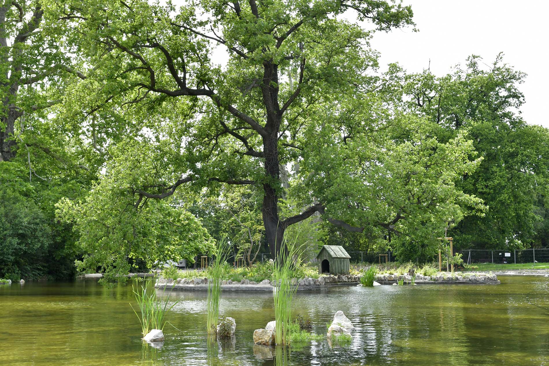 Parc de Maison Blanche - Charles Aznavour