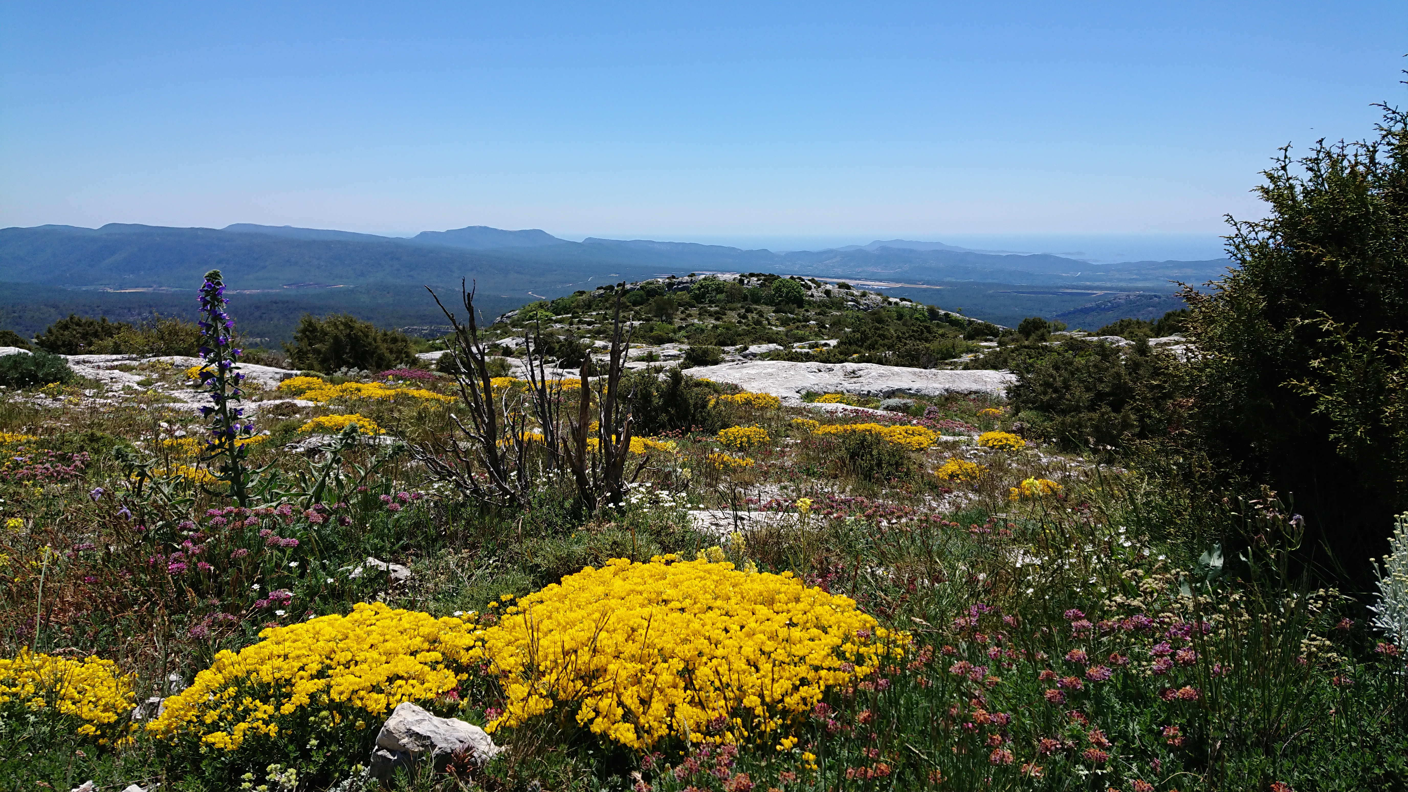 Massif de la Sainte Baume, Aubagne - photo 6