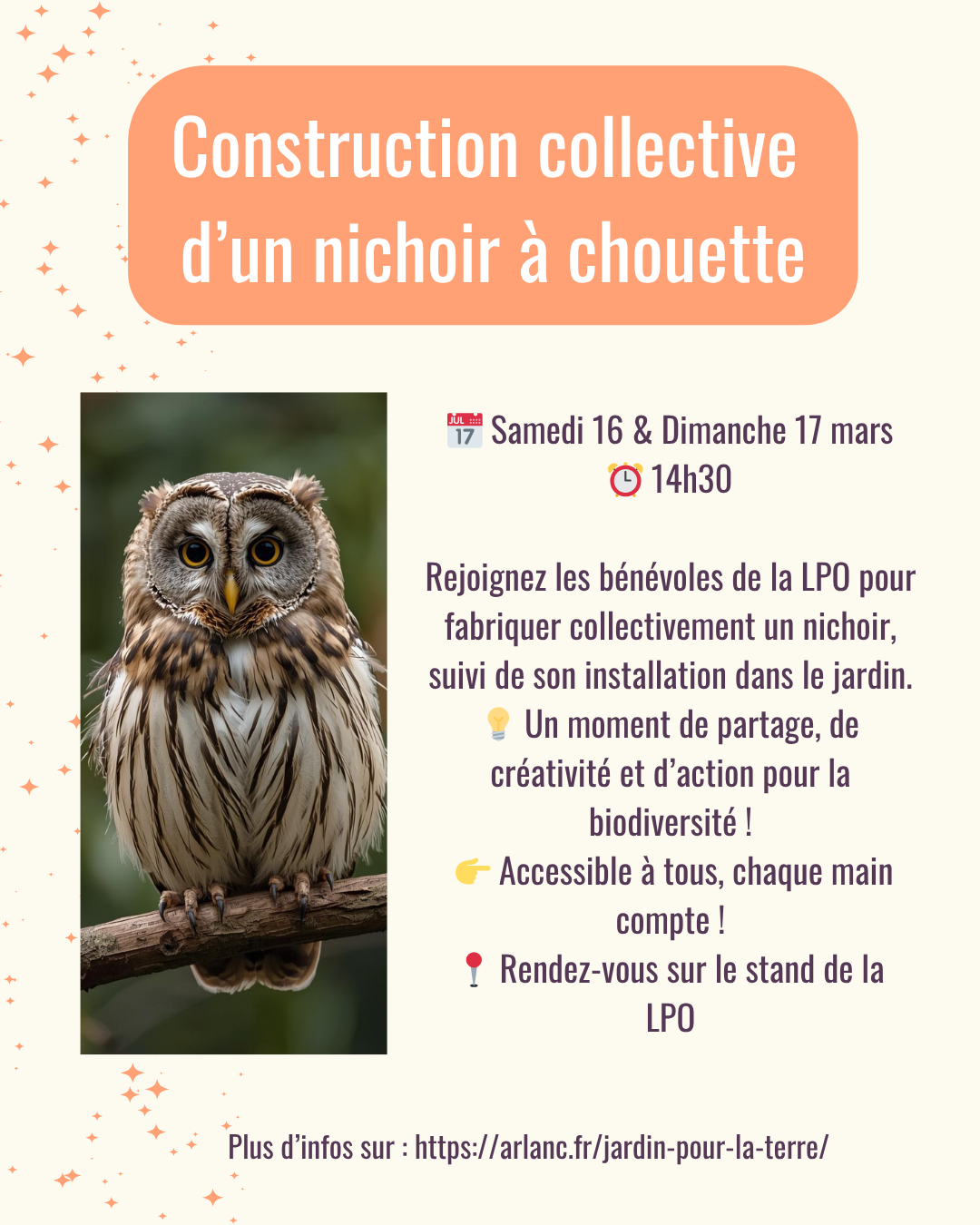Atelier – Construction collective d’un nichoir à chouette