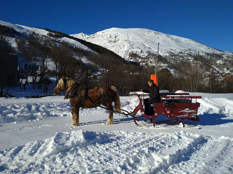 Cheval à traîneau à Valloire