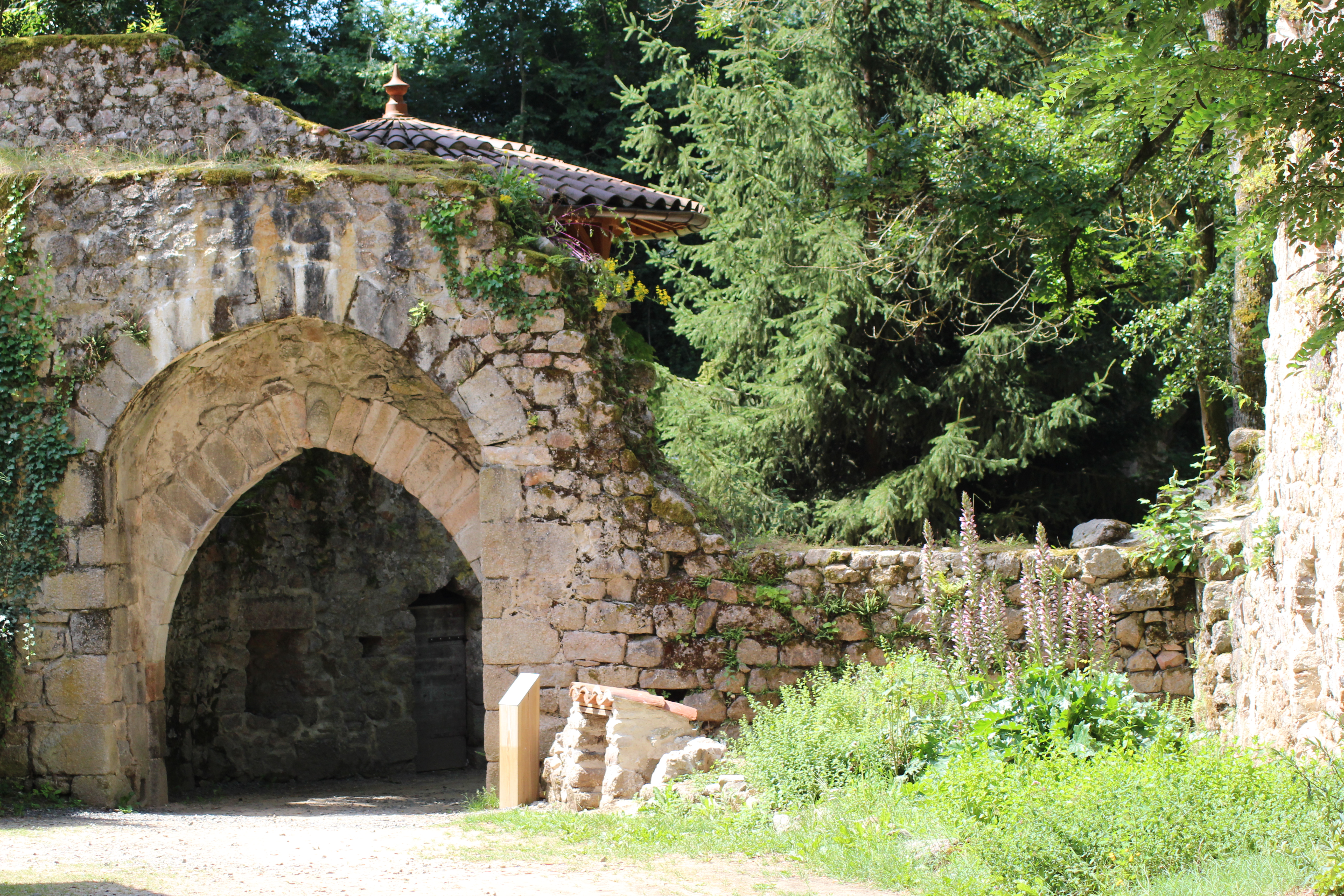 Ruines de Donzy