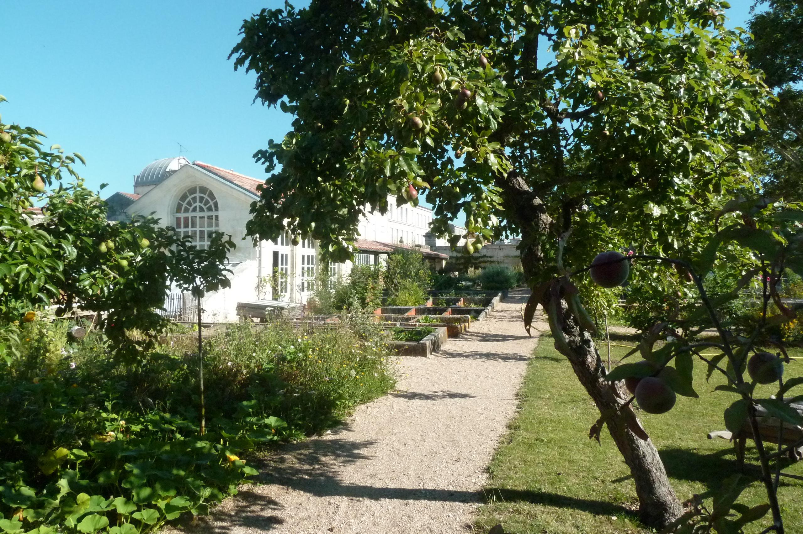 Rendez-vous aux jardins : gérer aujourd'hui le jardin des retours