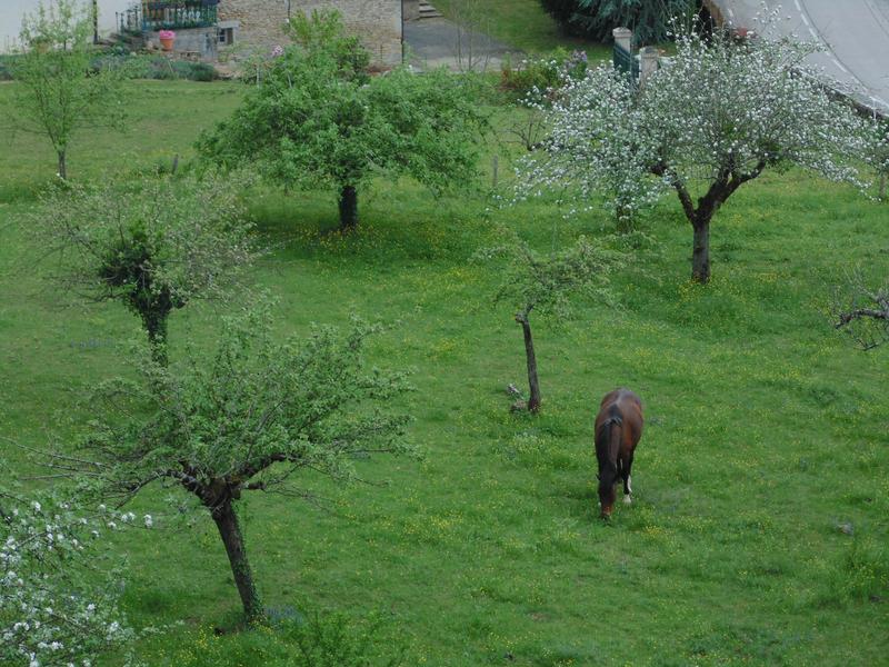 Le Clos Dauphin à La Balme les Grottes - Balcons du Dauphiné - Isère